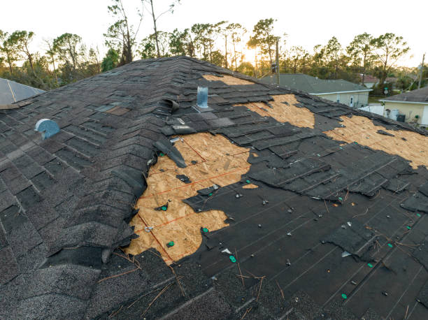 Best Roof Coating and Sealing  in Pendleton, SC